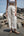 Pantalón Prado Beige Jaspeado
